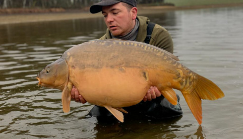 A carp from Boux, Jan 2023
