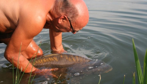A carp from Boux, Aug 2014