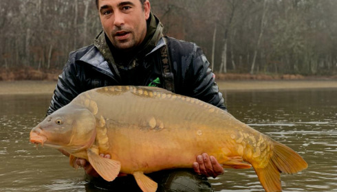 A carp from Boux, Jan 2023
