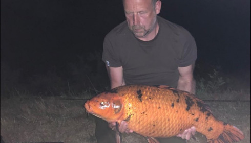 A 25 lb carp from Boux, Brian Satwick, Aug 2019