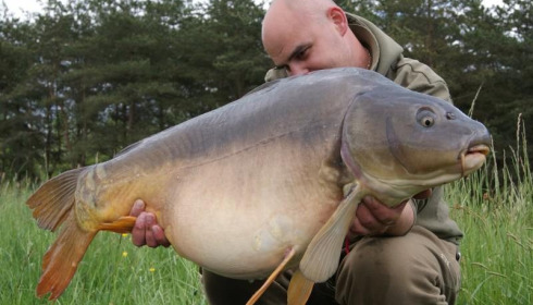 A carp from Boux, Scott Fry, May 2013