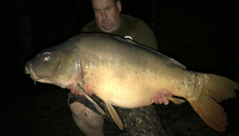 A carp from Boux, Sep 2019