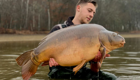 A carp from Boux, Jan 2023