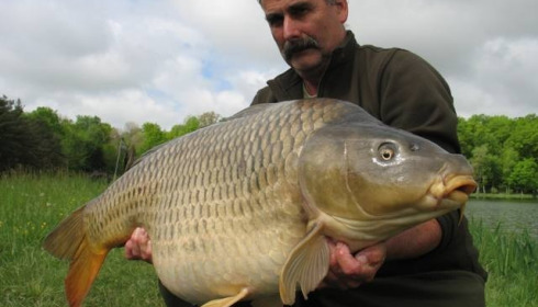 A carp from Boux, Andy Windmill, May 2013