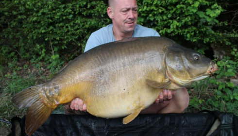 A carp from Boux, Jul 2015