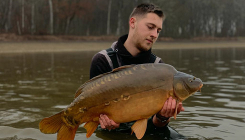 A carp from Boux, Jan 2023