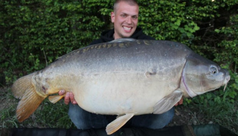 A carp from Boux, Jul 2015