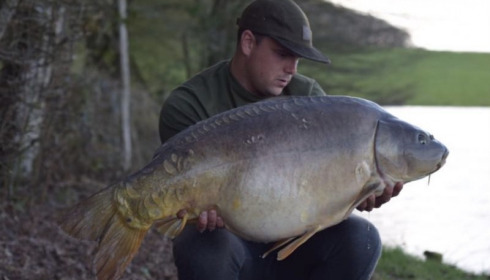 A carp from Boux, Leon Hewitt, Mar 2017