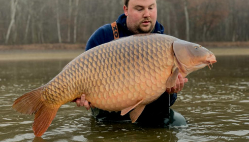 A carp from Boux, Jan 2023