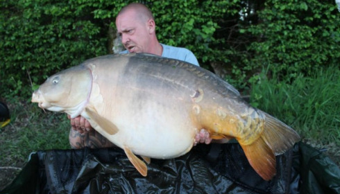 A carp from Boux, Jul 2015
