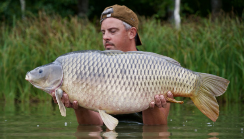 A fish from Boux, Sep 2022