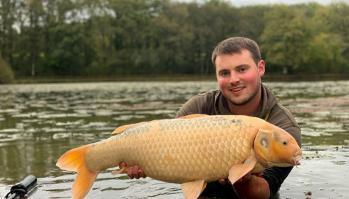 A carp from Boux, Jan 2023