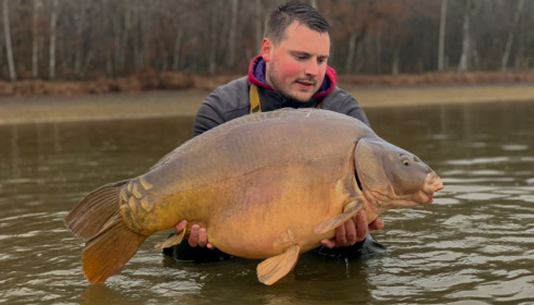 A carp from Boux, Jan 2023