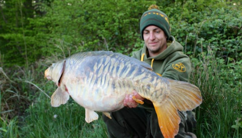 A carp from Brie, Apr 2014