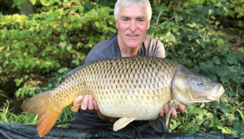 A carp from Brie, Eric Wood, Sep 2018