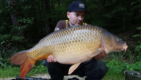 A carp from Brie, Sep 2017