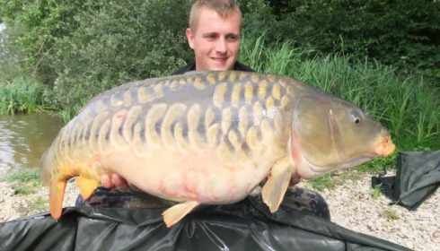 A carp from Brie, Aug 2014