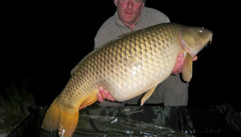 A carp from Brie, May 2016