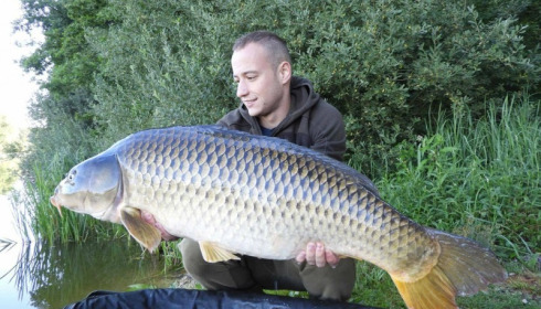 A carp from Brie, Aug 2017