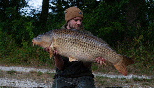 A carp from Brie, Sep 2021