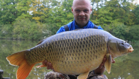 A carp from Brie, Oct 2014