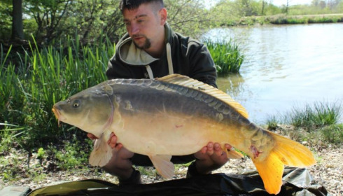 A carp from Brie, Apr 2014