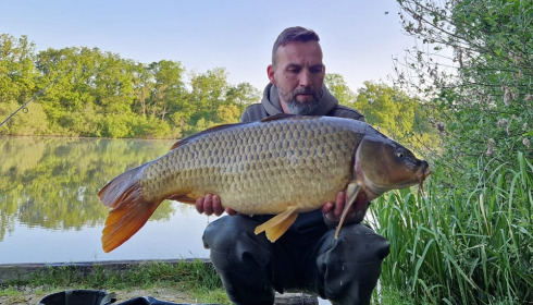 A carp from Brie, Jun 2023