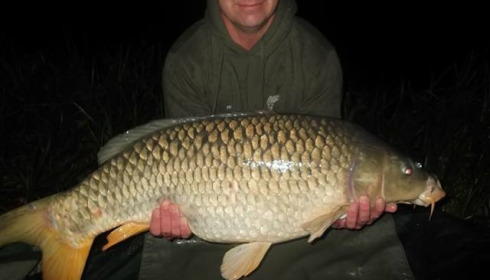 A carp from Brie, Oct 2017