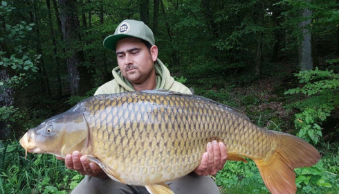 A carp from Brie, Sep 2017