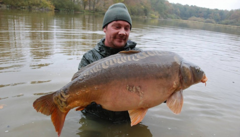 A carp from Brie, Nov 2016