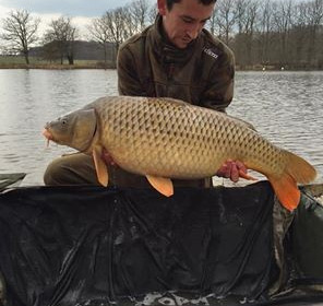 A 26 lb 9 oz carp from Brie, Carl Smith, Mar 2016
