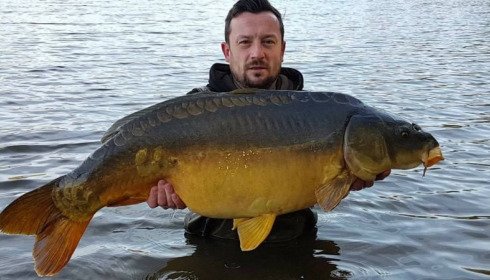 A carp from Brie, Apr 2017