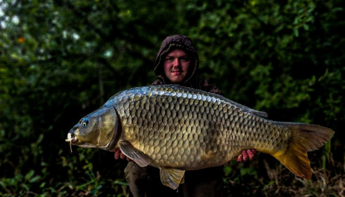A fish from Brie, Sep 2022