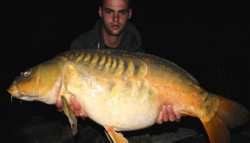A carp from Brie, Jul 2014