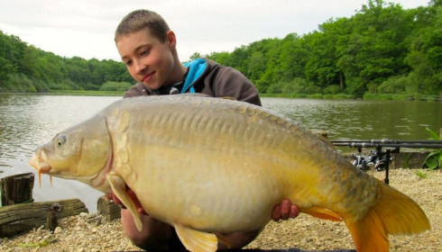 A carp from Brie, May 2014