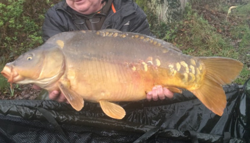 A 31 lb carp from Brie, Tony Ferry, Mar 2018