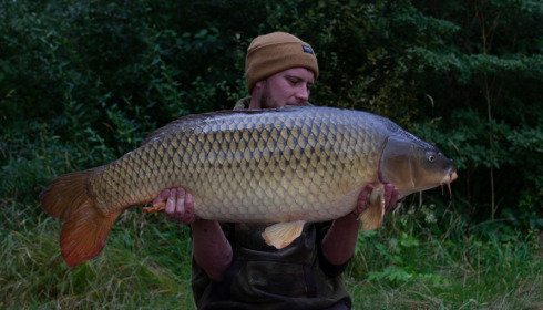 A carp from Brie, Sep 2021