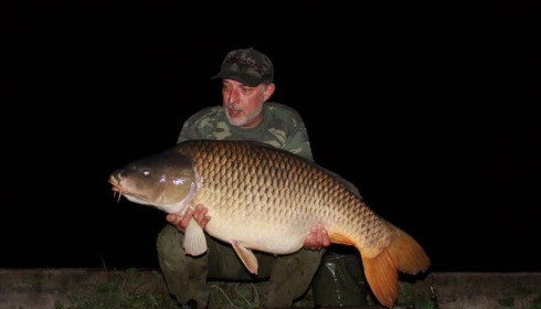A carp from Brie, Sep 2017