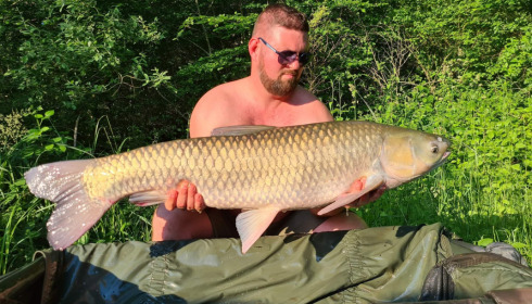 A grass carp from Brie, Jun 2021