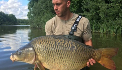 A carp from Brie, Jul 2017