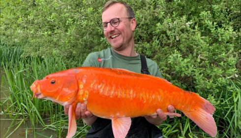 A carp from Brie, May 2019