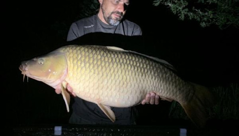 A carp from Brie, William Armstrong, Jul 2019