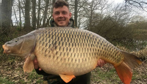 A carp from Brie, Apr 2018