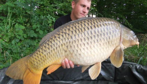 A carp from Brie, Aug 2014