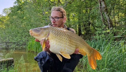 A carp from Brie, Jun 2023