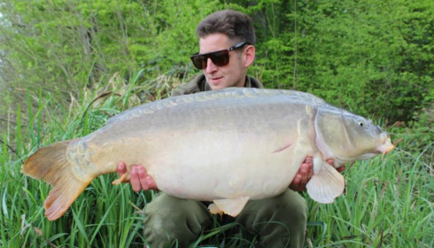 A carp from Brie, Apr 2014