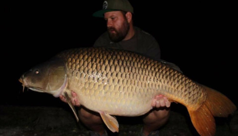 A carp from Brie, Sep 2017