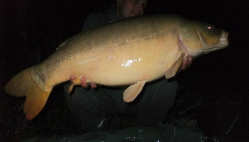 A carp from Brie, Aug 2014
