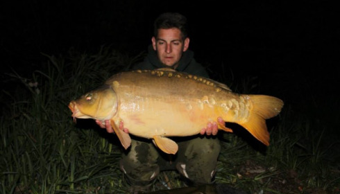 A carp from Brie, Apr 2014