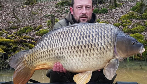 A carp from Brie, Apr 2018